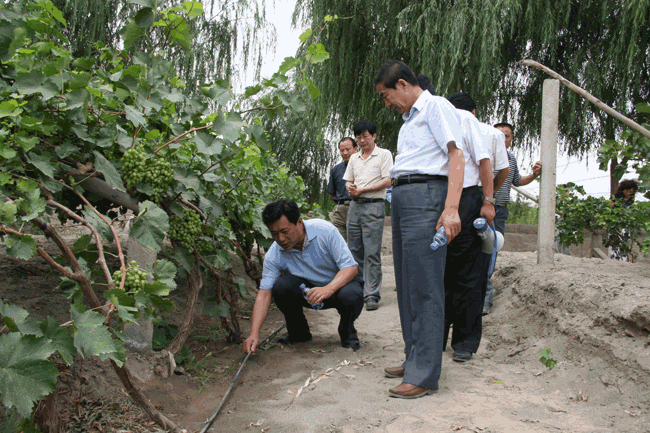 �������ǲ���(�й���)�ٷ���վ