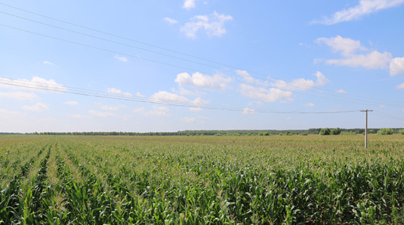 �������ǲ���(�й���)�ٷ���վ