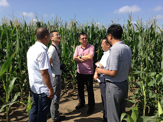 �������ǲ���(�й���)�ٷ���վ