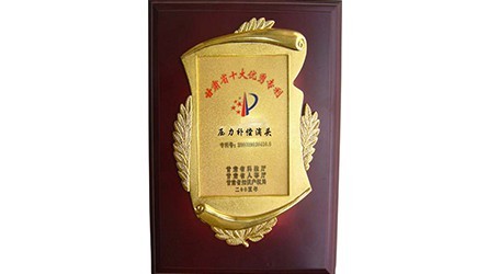 ����ʡʮ������ר����ѹ���⳥��ͷ