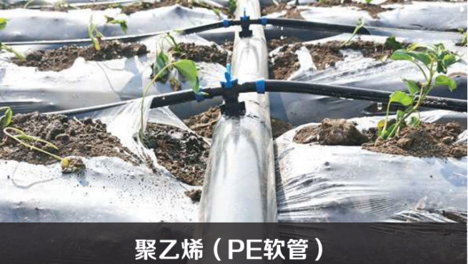 ����ϩ��PE���ܣ�