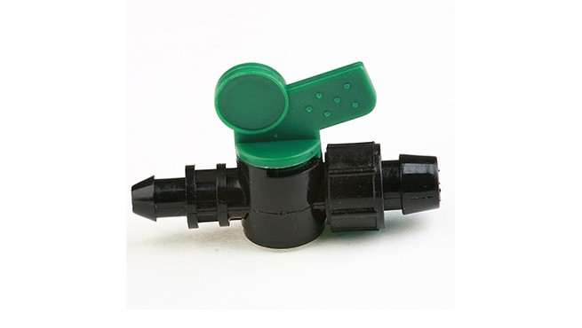 ������ͨ