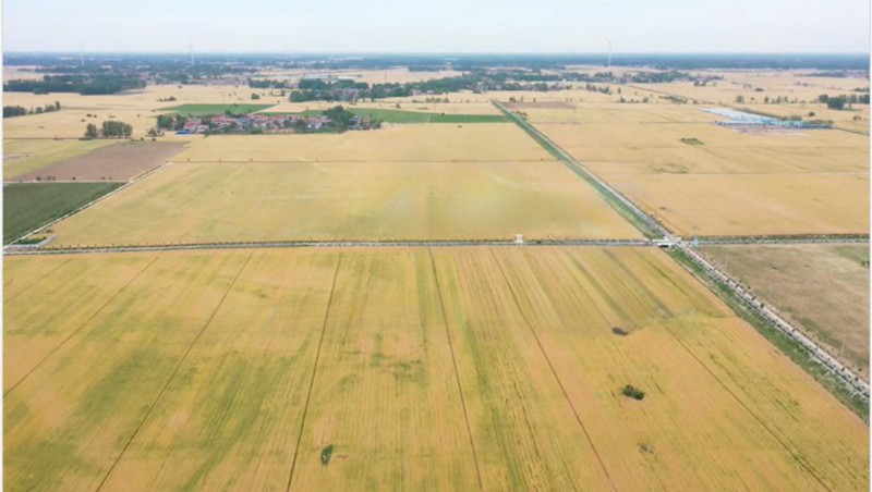 ����ʡ¹����22.1��Ķ�߱�׼ũ�EPC+O����Ŀ