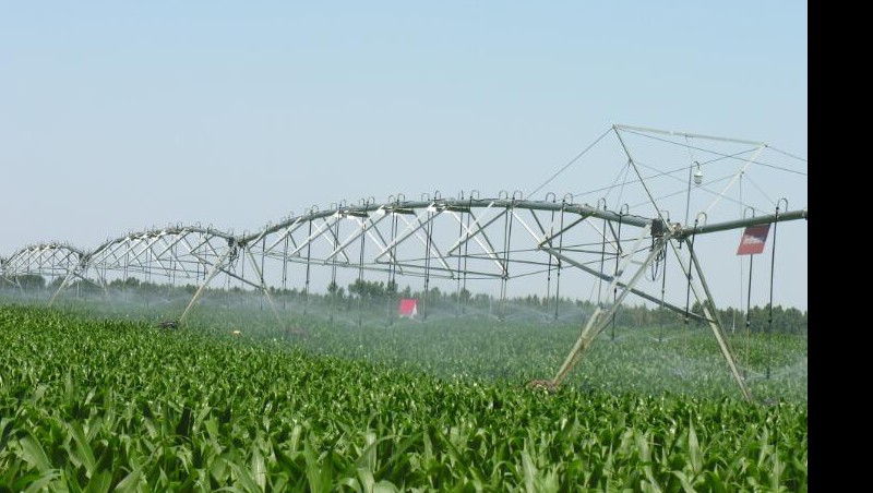 �����㶨ǧĶ����Ľ�����