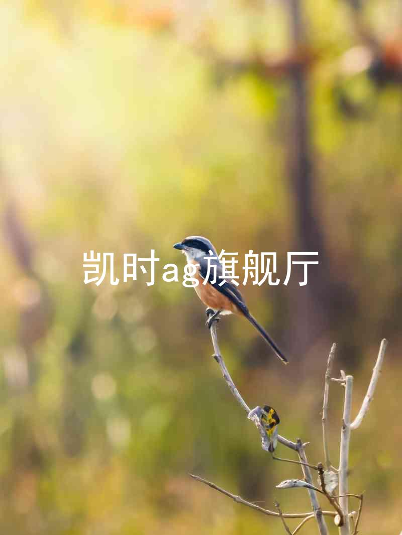 凯时ag旗舰厅