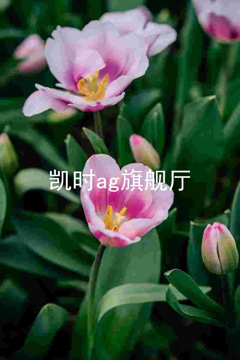 凯时ag旗舰厅